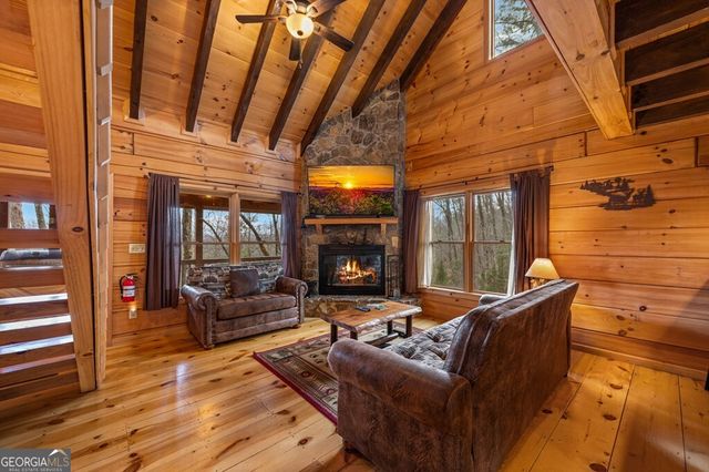 275 N Moreland Drive, Cherry Log, GA 30522