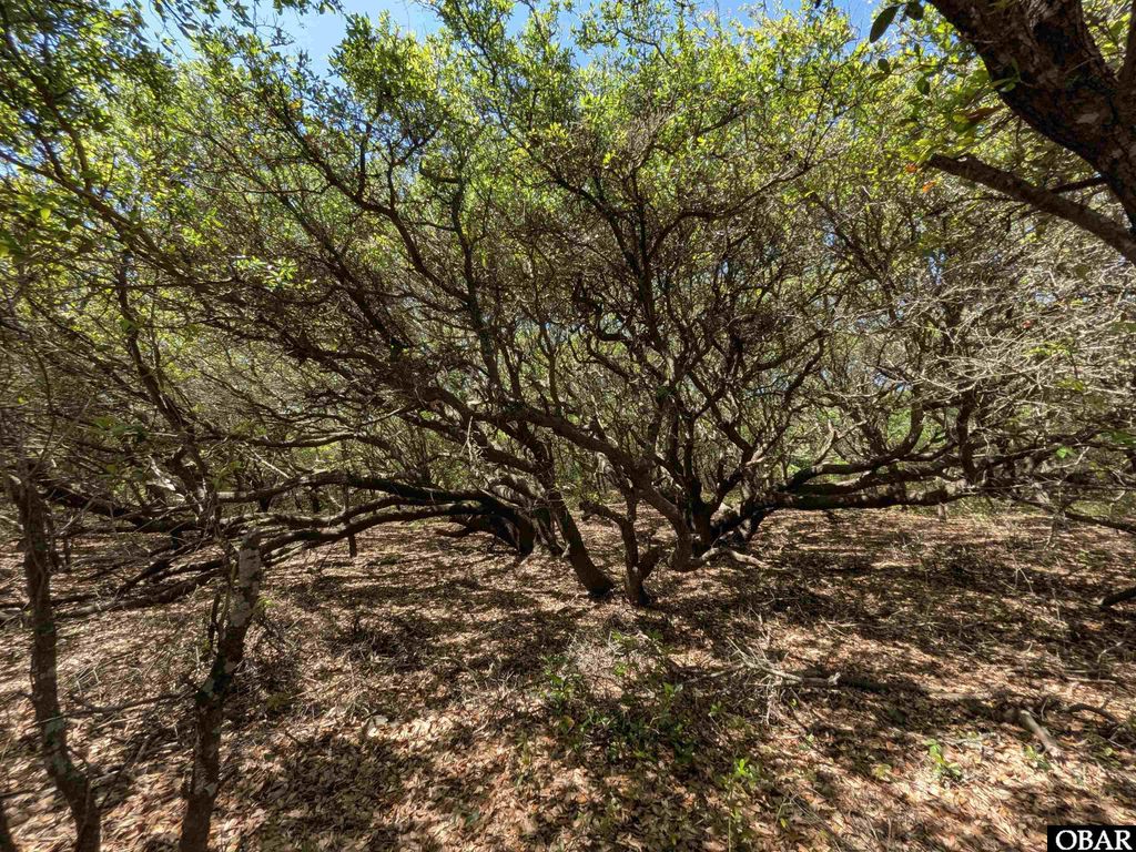 Image 9 of property listing at 2256 Sandpiper Road Lot 3, Corolla, NC 27927