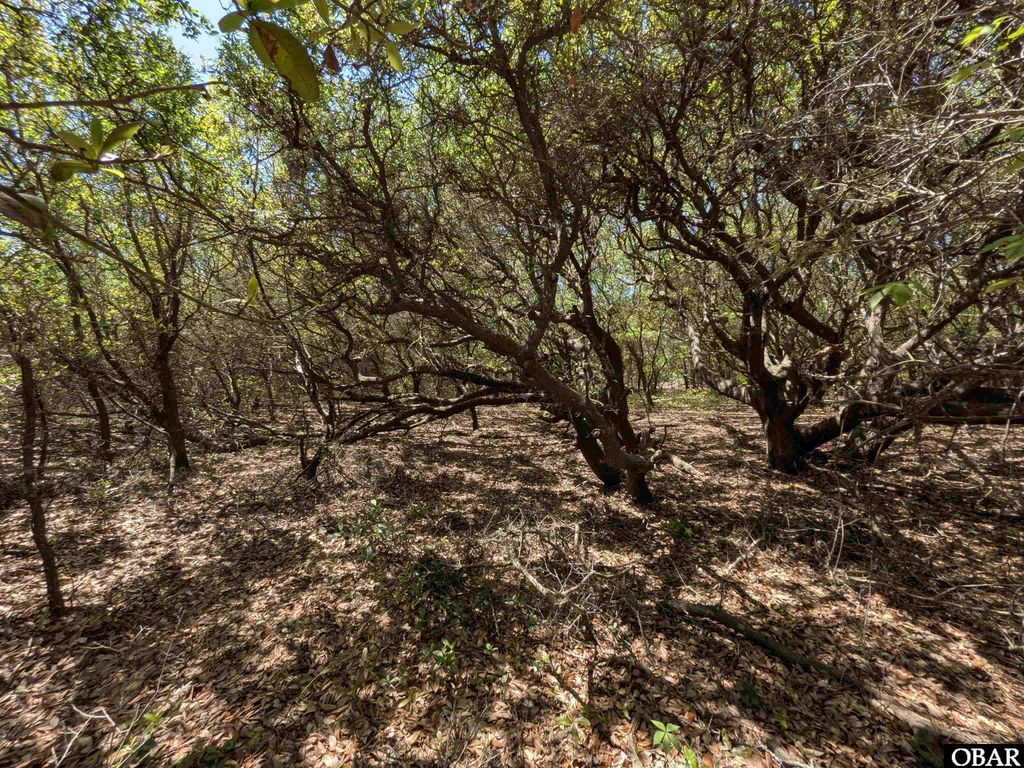 Image 10 of property listing at 2256 Sandpiper Road Lot 3, Corolla, NC 27927