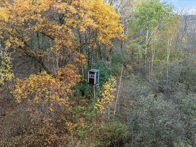 61 County Road 45, Fort Ripley, MN 56449