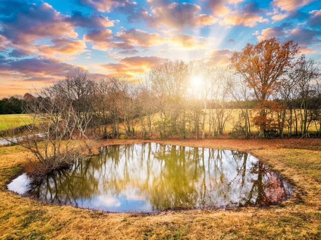 4785 Highway 41A, N, Eagleville, TN 37060