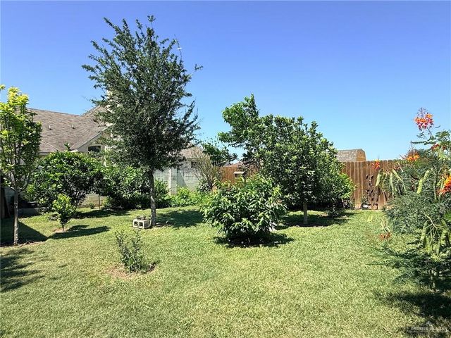 423 Blue Sky Street, Rio Grande City, TX 78582