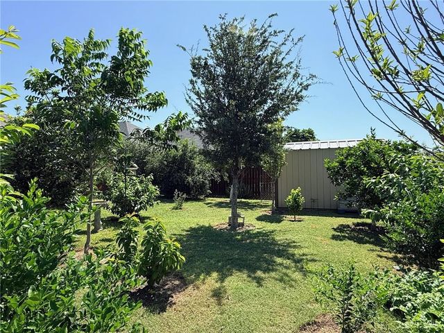 423 Blue Sky Street, Rio Grande City, TX 78582