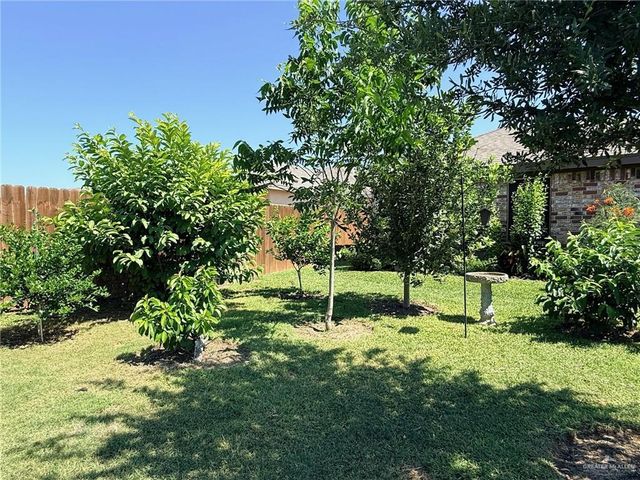 423 Blue Sky Street, Rio Grande City, TX 78582
