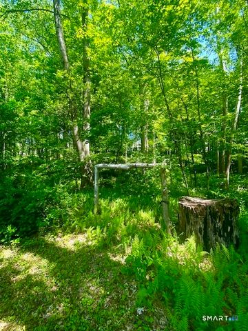 19 Moodus Leesville Road, East Haddam, CT 06469
