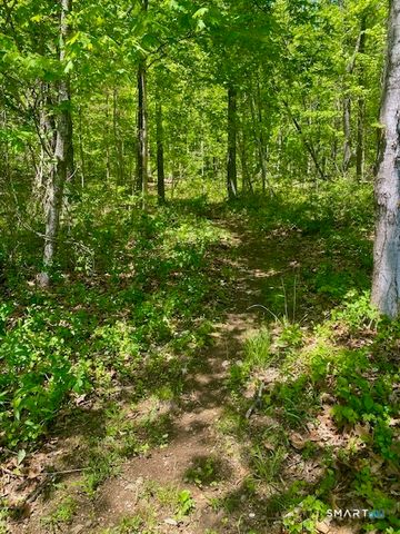 19 Moodus Leesville Road, East Haddam, CT 06469