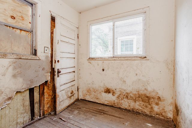 8255 S Saint Lawrence Avenue, Chicago, IL 60619