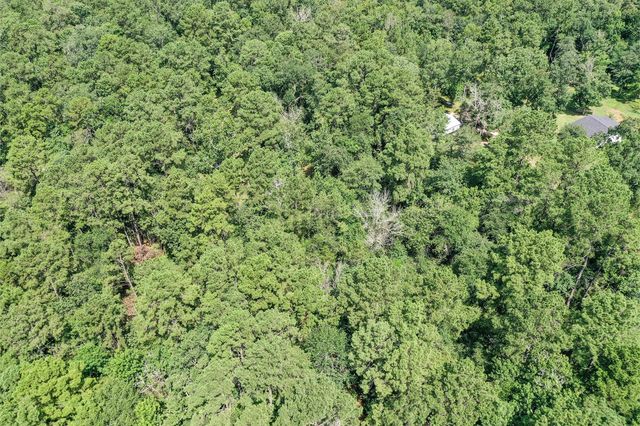 7.7 Acres Hill Rd, Willis, TX 77378