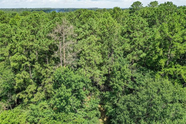 7.7 Acres Hill Rd, Willis, TX 77378