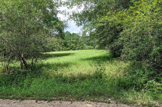 7.7 Acres Hill Rd, Willis, TX 77378