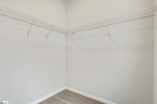 12 Lone Cypress Street, Travelers Rest, SC 29690