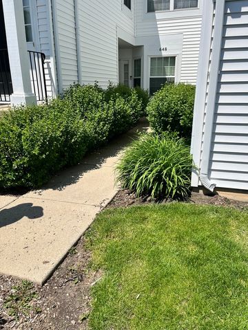 648 Springwood Drive 1, Joliet, IL 60431