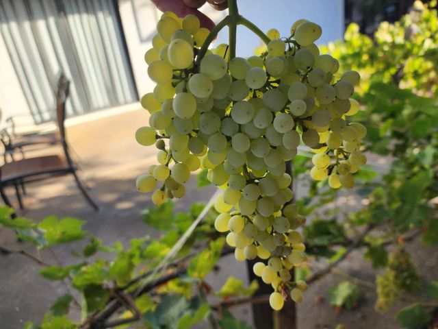 605 Sandpiper Cir, Lodi, CA 95240