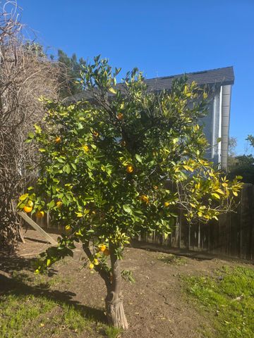 605 Sandpiper Cir, Lodi, CA 95240