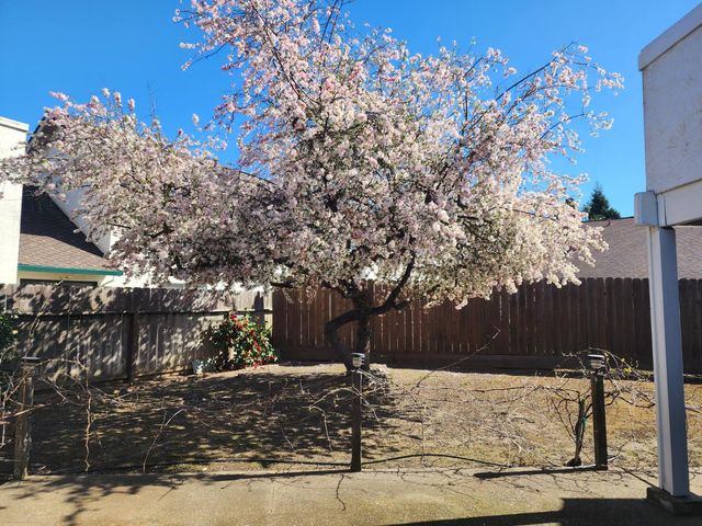 605 Sandpiper Cir, Lodi, CA 95240