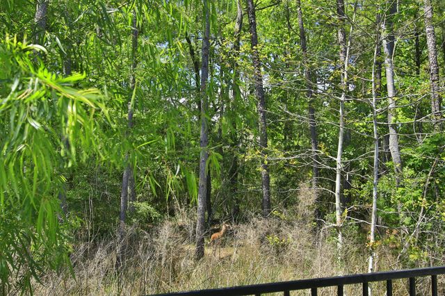 282 Sky Top Drive, Montgomery, TX 77316