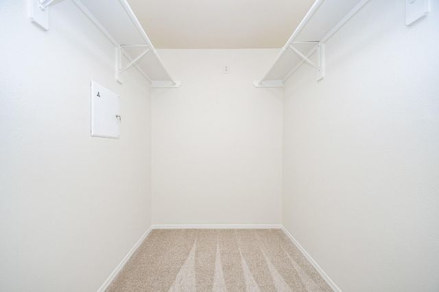 13511 Titus Point, Houston, TX 77085