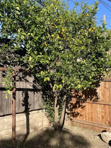 121 E Warner St, Ventura, CA 93001