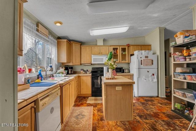 170 Perrigan Lane, Sparta, TN 38583