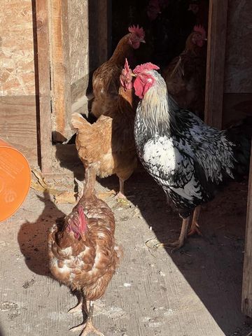 S2547 State Hwy 58, La Valle, WI 53941