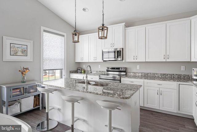 25006 TANNIN CIR, Milton, DE 19968