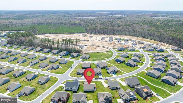 25006 TANNIN CIR, Milton, DE 19968
