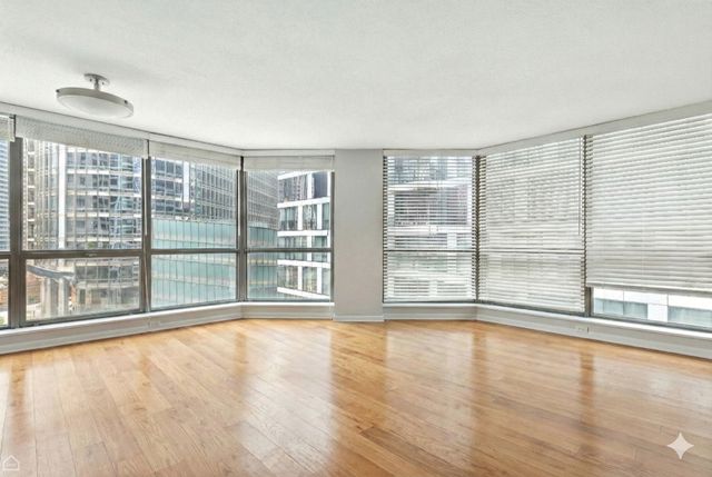405 N Wabash Avenue 206, Chicago, IL 60611