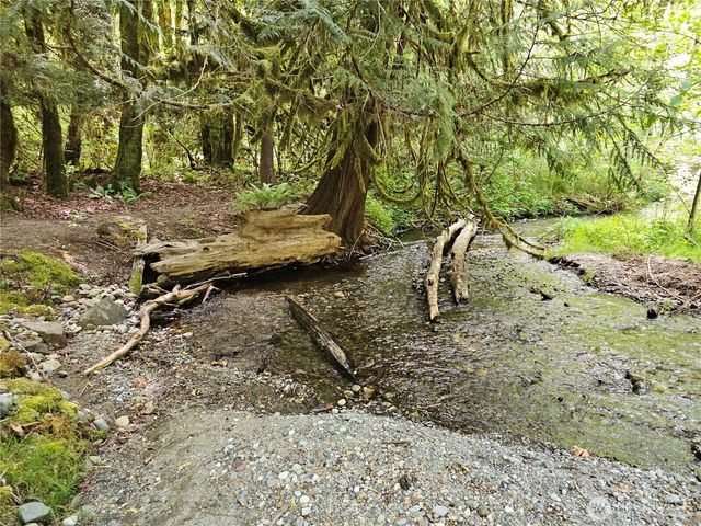 170 NE Elfendahl Pass Road, Belfair, WA 98528