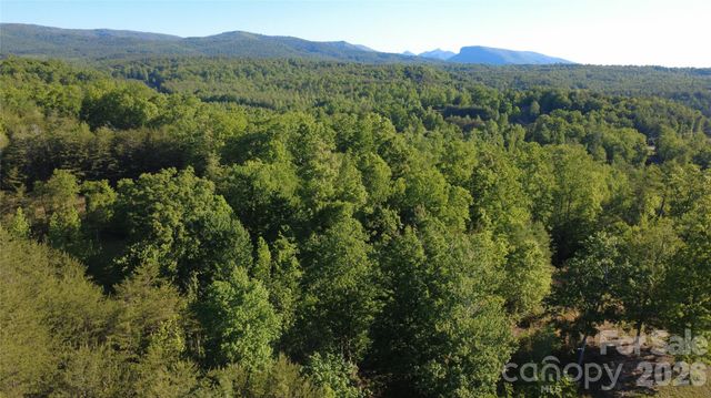 431 Ridge Point Road 7, Nebo, NC 28761