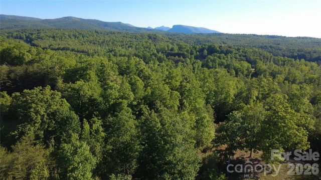 431 Ridge Point Road 7, Nebo, NC 28761