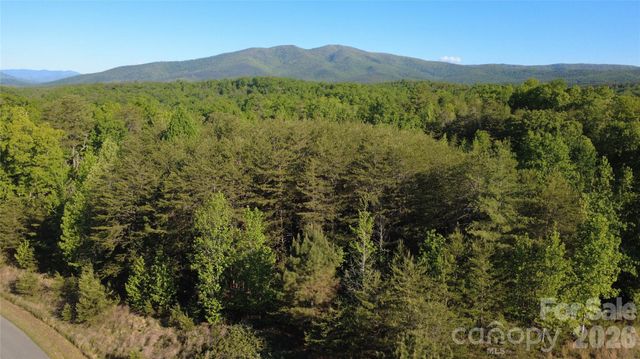 431 Ridge Point Road 7, Nebo, NC 28761
