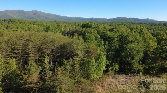 431 Ridge Point Road 7, Nebo, NC 28761