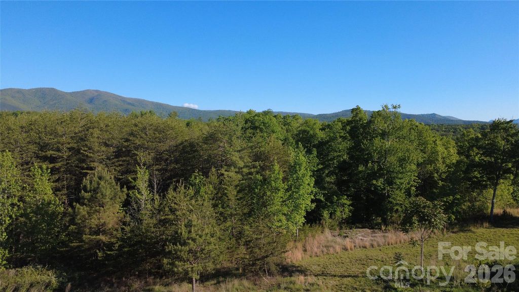 431 Ridge Point Road 7, Nebo, NC 28761