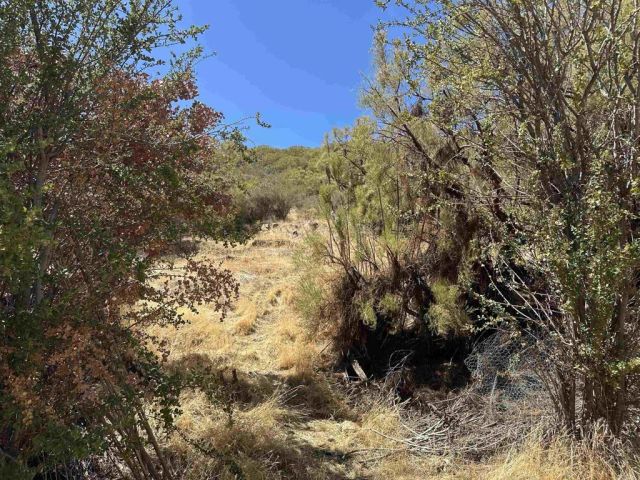 59125 Rimrock Canyon, Anza, CA 92539