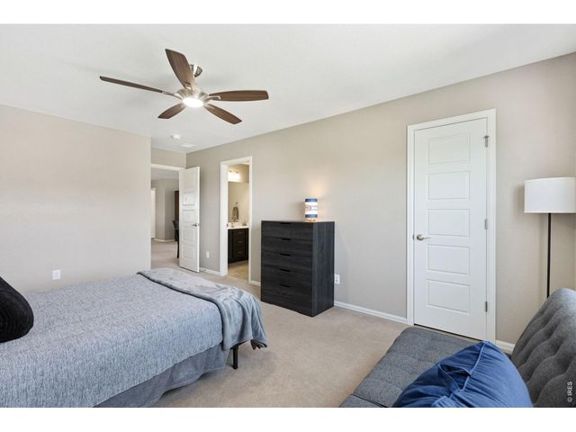6151 Washakie Ct, Timnath, CO 80547