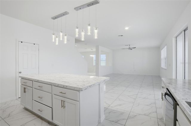 1134 AUGUSTUS DRIVE, Davenport, FL 33896