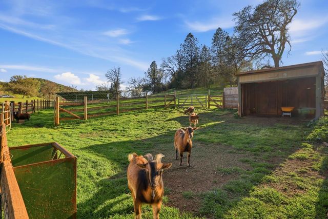 1600 Hidden Cir, Shingle Springs, CA 95682