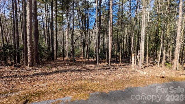 999 Roberts Lane N 7, Flat Rock, NC 28731