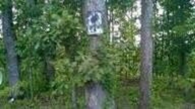 104105 Peach Orchard Hill Road, NE, Cleveland, TN 37323