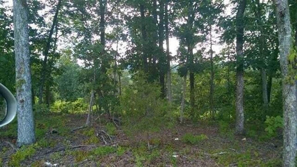 104105 Peach Orchard Hill Road, NE, Cleveland, TN 37323