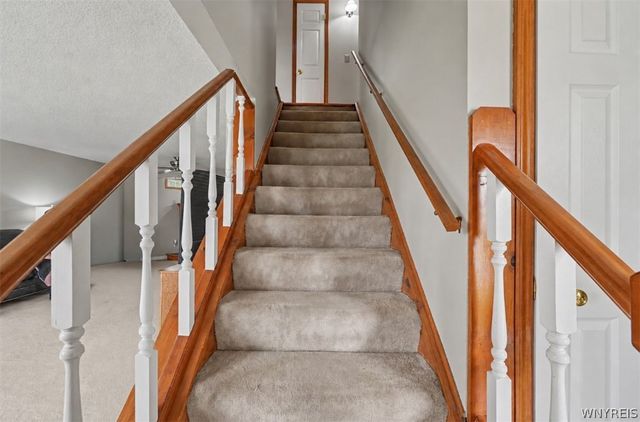 51 Tracy Lynn Lane, West Seneca, NY 14224
