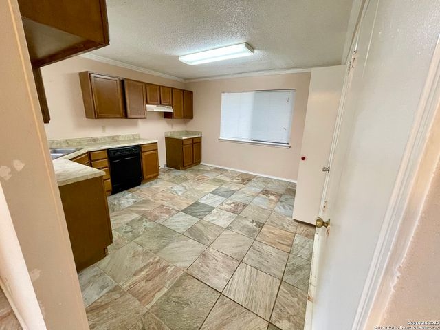 13219 Larkway, San Antonio, TX 78233