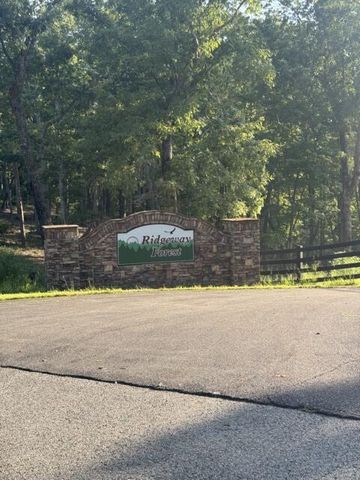290 Eagle View Drive, Ellijay, GA 30540