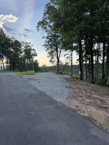 290 Eagle View Drive, Ellijay, GA 30540
