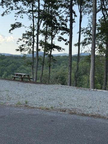 290 Eagle View Drive, Ellijay, GA 30540