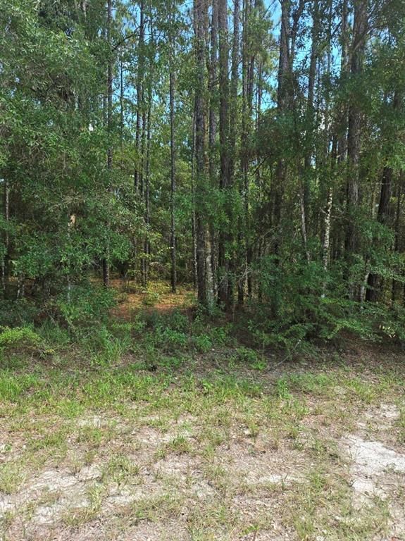 14126 RICEBIRD AVENUE, Brooksville, FL 34614