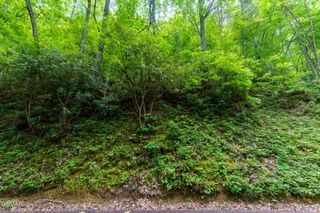 Lot 11 Zurich Road, Gatlinburg, TN 37738