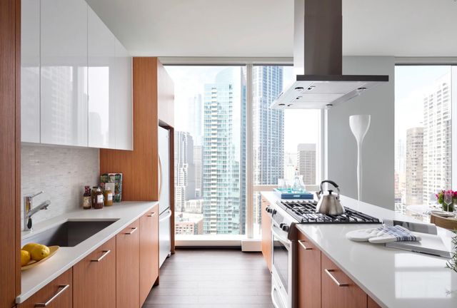 500 N Lake Shore Drive 1011, Chicago, IL 60611