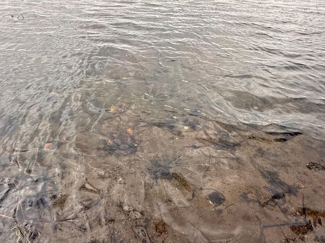 34235 County Road 9, Avon, MN 56310