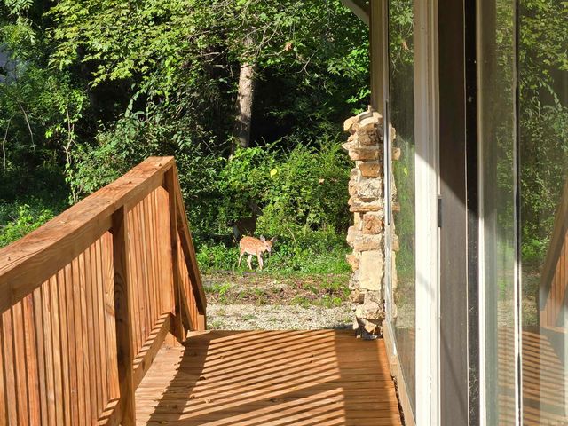 30 Suanee Drive, Cherokee Village, AR 72529